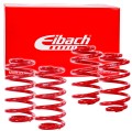 EIBACH SPORTLINE.jpg