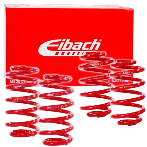 EIBACH SPORTLINE.jpg