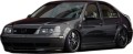 VW BORA.jpg