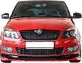 SKODA FABIA II 5J.jpg