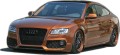 AUDI A5 SPORTBACK 8TA.jpg