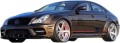 MERCEDES CLS W219.jpg