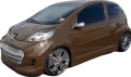 PEUGEOT 107.jpg