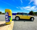 DTS_Mini_R50_005.jpg