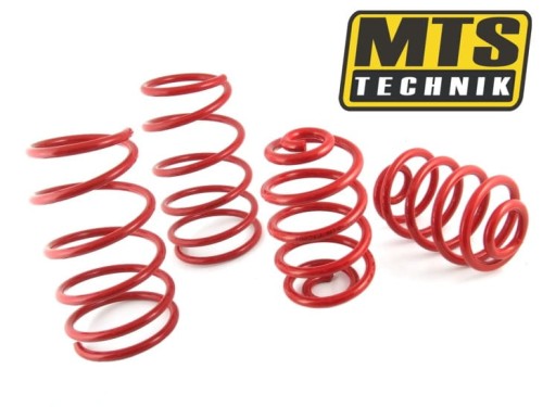 mts_technik_springs.jpg